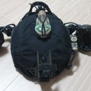 대성하이컷