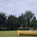 도그캠프 이미지