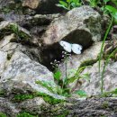 우리수퍼 이미지