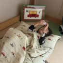 브룸(BROOM) | [베베데코] 사계절 낮잠이불 추천! 올데이 듀얼 낮잠이불 브룸디노, 듀라론 모달 기능성 분석 리뷰!