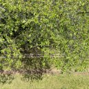 영산로 483 이미지