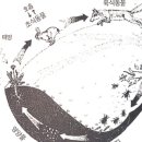 생명의 그물 1 이미지