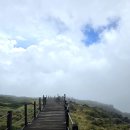 26470-01-21-375 | 제주 가볼 만한 곳 한라산 등반 초보자도 갈 수 있는 성판악 코스 난이도와 필수 팁