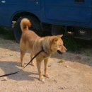 계룡모터스 이미지