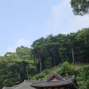 사무량심 (四無量心) 🪷 이미지