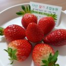 다산딸기수출 이미지