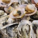 싱싱회관 이미지