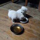 당골농장 이미지