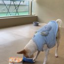 슈라즈하우스 이미지