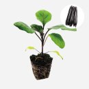 천하농장 이미지