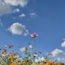 이동여자경로당 이미지