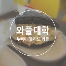 와플대학 미사중앙캠퍼스 | 와플대학 애플 시나몬 누빠마 젤라또 와플 가격 후기