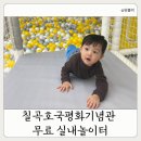 평화1길 | 대구 경북 근교 칠곡호국평화기념관 무료 실내놀이터 아이랑 가볼만한 곳(feat.딸기체험)