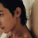 지선헤어라인