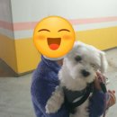 답21동물병원 이미지