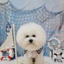 그루밍_light 이미지