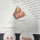 규산염 광물 산소 규소 크기 이미지