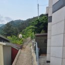 소길힐하우스 민박 | 울릉도펜션 울릉힐하우스 울릉도 단독 독채펜션 명이나물 감동