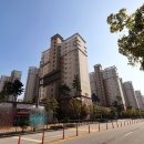 단지내새집공인중개사사무소 이미지