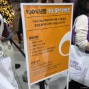 오후 | 2025 컬리푸드페스타 주말 오후 후기 꿀팁 보관함 추천부스