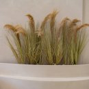 삼성외과의원 이미지