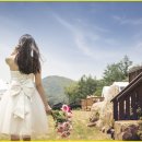 자연과힐링 이미지