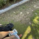 휴양림로 | [완주] 제1회 완주 트레일런 7키로 대회 출전이라고 말해야하나 후기