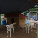 바람하우스 이미지