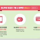 하나항공투어 이미지
