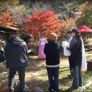 황금퓨전방 - 진주시 진주대로 1115 | 황금퓨전방