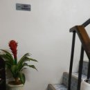 (방콕)Ari동네 마사지 샵 2곳 J-Hair &amp;Massage , Dukkha massage
