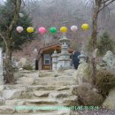 용화산들꽃향기
