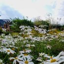 생명의 시작 이미지