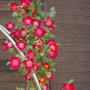 소중한아이들유치원 이미지