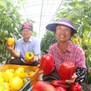 봉정농장 이미지