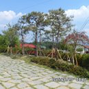 성체 지역아동센터 이미지