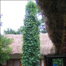 청운여관 이미지