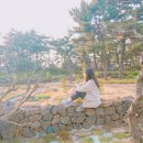 제재텐스빌 이미지