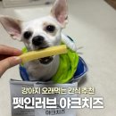 펫 인 | 강아지 오래먹는 간식 추천 펫인러브 야크치즈 내돈내산 후기 강아지 치석제거 간식 추천