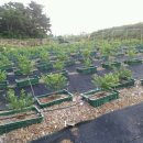 요한이네농장 이미지