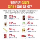 카페인존