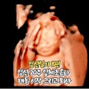 태동분식 | 임신 20주 입체초음파 태동 시작 그리고 퇴사