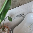 멀왓스테이 이미지