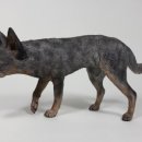 오스트레일리안 스토어