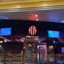 태양태권도 | 라스베이거스 카쇼 후기 | 태양의 서커스 (가격·좌석·입장 총정리)