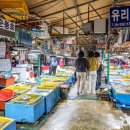 사하구 홍티로 티스토리