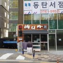 고양이의 봄, 묘랑묘랑 이미지