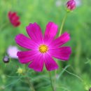 풀빛다락 이미지