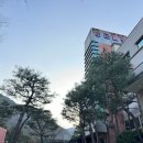 도깨비골 황토찜질 펜션 | 경북 청도 가볼만한곳 군불로 찜질방 펜션 숙박 패키지 삼겹살 추천