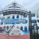 원평1구 | (삼척 여행) 그라시아 리조트 / 미온수 수영장 있는 삼척 바다 앞 숙소 / 내돈내산 후기